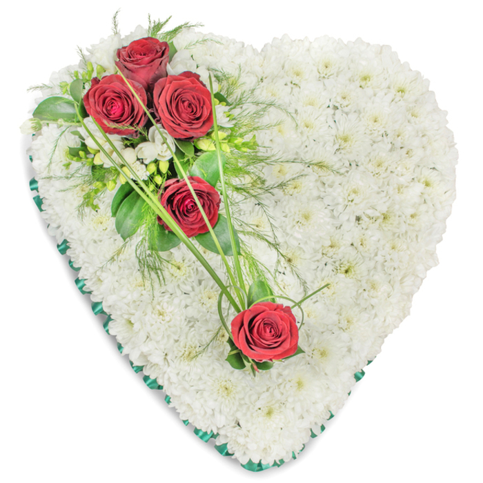A large heart-shaped sympathy arrangement is shown in full, set against a simple white background that highlights its elegant form and colours. The main body of the heart is completely covered with compact white chrysanthemums, each small bloom fitting snugly against its neighbour. Together they form a soft, plush surface, like a padded cushion, evoking feelings of peace, purity, and gentle rest. The white petals seem to glow subtly in the light, giving the tribute a serene presence that calls to mind the tranquil corners of Ravensbury Park near Merton. At the upper left curve of the heart, three rich red roses are grouped into a striking focal cluster. Their velvety petals, deeply hued and carefully arranged, stand out against the white base, symbolising love and remembrance. These roses are framed by tiny white filler flowers-possibly freesias-and a varied selection of green foliage, including glossy leaves and light, fern-like sprays that add airy texture and dimension. Two additional red roses are positioned further down, one near the centre and another toward the lower right, encouraging the eye to travel gently across the arrangement. Connecting these blooms are slim, arching strands of bright green ornamental grass, laid over the chrysanthemum cushion in graceful curves that suggest the enduring ties between hearts. Encircling the whole design is a deep green satin ribbon, precisely pleated and secured along the edges of the heart. The ribbon's rich tone and subtle shine provide a refined frame and reinforce the shape. The overall effect is of a traditional yet heartfelt funeral tribute, the kind of carefully crafted heart that Merton Flowers might create for a chapel service, church farewell, or cemetery committal, offering a tender expression of sympathy and lasting devotion.