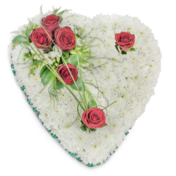 An elegant heart-shaped sympathy wreath, composed entirely of small white chrysanthemums that form a dense, pillow-like foundation under soft directional light, photographed against a seamless white background to emphasize purity of form. On the upper left a small, carefully placed cluster of three deep red roses opens fully, surrounded by rich green foliage-glossy ruscus leaves and fine, feathery fern fronds-while slender bear-grass blades sweep gently from the cluster to create subtle rhythm and flow. Two further red roses sit alone on the design-one near the top right curve and one at the pointed base-each set with a spare touch of greenery so the crimson stands out as a quiet declaration of love and mourning. Tiny white filler blooms echo the main chrysanthemum bed in places, adding delicate texture and continuity. Encircling the heart is a narrow emerald satin ribbon that neatly defines the edge with a soft lustre, lending the piece an understated formality. The composition suggests scent and touch as well as sight: the chrysanthemum's cool, faint perfume and the roses' deeper, velvety aroma, the chrysanthemums' soft, cushiony surface against the crispness of glossy leaves. A local florist in Merton-thinking of services near Morden Hall Park or Mitcham Market-would describe this arrangement as respectfully traditional yet quietly personal, an ideal tribute for funeral chapels, church services, or memorial plaques where comfort, memory, and dignity are paramount.
