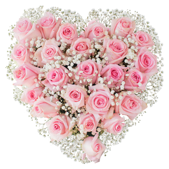 A sumptuous, heart-shaped bouquet of soft pink roses occupies the image, composed with the careful hand of a workshop florist and presented against a stark white backdrop that highlights every petal and sprig. Approximately two dozen roses form a dense, rounded surface of pale to mid-pink tones, some flowers unfurling into open, velvety blossoms while others remain tighter buds, giving the heart depth and a gently varied silhouette. Threaded throughout and around the roses are countless tiny clusters of white gypsophila - baby's breath that resembles spun sugar or delicate lace - their minuscule stars creating a halo effect and softening the heart's outline with ethereal texture. The lighting is bright and even, revealing the flowers' dewy freshness, soft shadows between petals, and the delicate translucency at the edge of each bloom. The overall impression is one of tender reverence: this is a composition suited to engagements or anniversaries, to a wedding aisle or a bedside where quiet consolation and love are required. As a Merton-based florist who often prepares pieces for couples marrying near Colliers Wood or who deliver to families around Merton High Street, I can feel the quiet perfume of roses and the satiny touch of petals when imagining this arrangement in person. Technical control and emotional intent are both present - the symmetrical heart says 'I love you' plainly, while the baby's breath adds a whisper of hope and purity, a floral language that is both familiar and evocative within the crisp simplicity of the photograph.