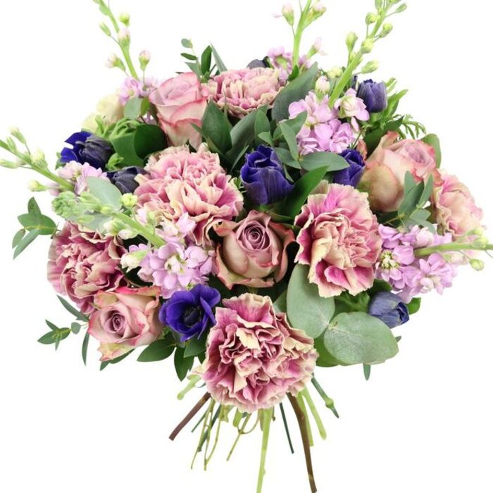 This hand-tied bouquet is captured against a simple white background, allowing its rich colours and textures to stand out clearly, much as they would when viewed in natural light on a Merton kitchen table. At its core, generously petalled garden roses in blush pink, muted mauve, and antique rose create a soft, romantic centre, their petals curling outward in tight yet lush spirals. Framing these are numerous ruffled carnations, whose intricate petals show a gentle gradient from creamy and pale pink at the centre to deeper rose and fuchsia along the uneven edges, adding a sense of fullness and movement. Punctuating the warm tones are several deep indigo and royal blue flowers, including an open blue anemone with a dark, almost inky centre and a few elegant, closed buds that resemble tulips, lending the design a modern, jewel-like contrast. Slender stems of lilac and pale lavender stock flowers rise between the larger blooms, their many small blossoms forming soft, vertical columns and adding a hint of powdery, floral fragrance. The arrangement is wrapped in a generous collar of greenery: rounded, silvery eucalyptus leaves catch the light with a cool sheen, while darker green foliage adds depth and a natural, garden-like feel, as if gathered from a well-tended plot near South Wimbledon. The stems at the base are clearly visible, tied neatly together to highlight the hand-crafted nature of the bouquet, ready for prompt delivery across Merton. With its harmonious blend of romantic pinks, serene purples, dramatic blues, and fresh greens, this arrangement suits weddings, anniversaries, spring celebrations, or any occasion where a thoughtful, elegant gift is called for.